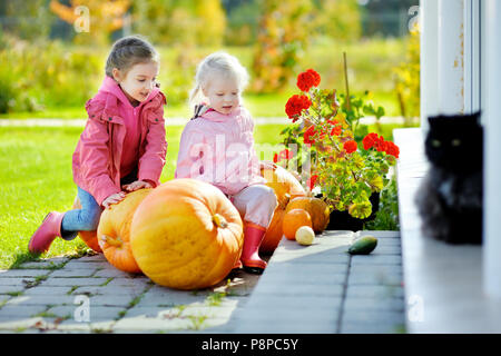 Due piccole sorelle e alcune enormi zucche in un orto di zucche Foto Stock