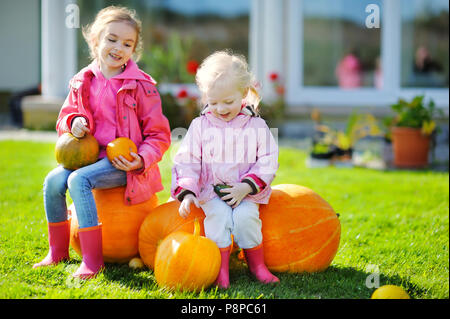 Due piccole sorelle e alcune enormi zucche in un orto di zucche Foto Stock