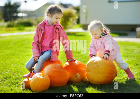 Due piccole sorelle e alcune enormi zucche in un orto di zucche Foto Stock