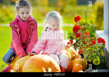 Due piccole sorelle e alcune enormi zucche in un orto di zucche Foto Stock