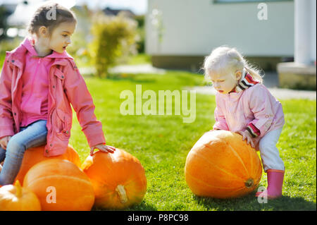 Due piccole sorelle e alcune enormi zucche in un orto di zucche Foto Stock