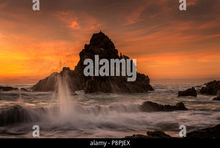 Camel Rock,roccia naturale struttura situata nei pressi di Bermagui un piccolo villaggio di pescatori sulla costa sud del New South Wales, Australia. Foto Stock