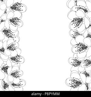 Momo pesca fiore Blossom Contorno di confine. Illustrazione Vettoriale. Illustrazione Vettoriale