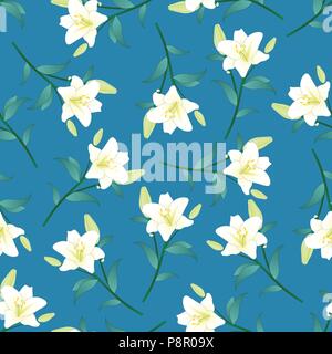 Il Lilium candidum, la Madonna lily o giglio bianco su sfondo blu. Illustrazione Vettoriale. Illustrazione Vettoriale