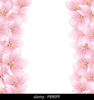 Prunus serrulata - la fioritura dei ciliegi, Sakura Border isolati su sfondo bianco. Illustrazione Vettoriale. Illustrazione Vettoriale