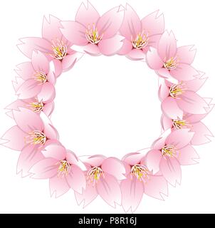 Prunus serrulata - la fioritura dei ciliegi, Sakura corona isolati su sfondo bianco. Illustrazione Vettoriale. Illustrazione Vettoriale