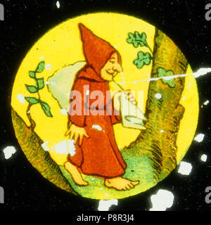 . 428 Monaco la raccolta di funghi immagine 1 Foto Stock