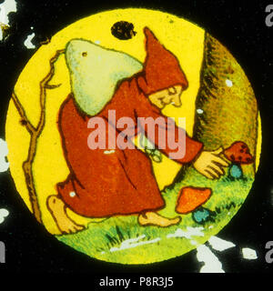 . 428 Monaco la raccolta di funghi immagine 2 Foto Stock