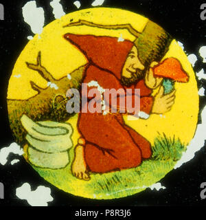 . 428 Monaco la raccolta di funghi immagine 3 Foto Stock