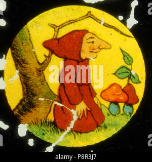 . 428 Monaco la raccolta di funghi foto 4 Foto Stock