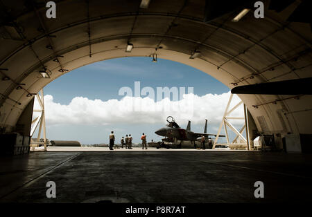 I manutentori del XVIII Manutenzione aeromobili squadrone, trainare un F-15C Eagle da la Flightline in un aeromobile protettivo rifugio durante la preparazione per il Tifone Maria Luglio 9, 2018 a Kadena Air Base, Giappone. Durante gravi intemperie come un tifone, aeromobili e aerospaziale apparecchiature di terra sono collocati in strutture temprato per la protezione. (U.S. Air Force foto di Senior Airman Omari Bernard) Foto Stock