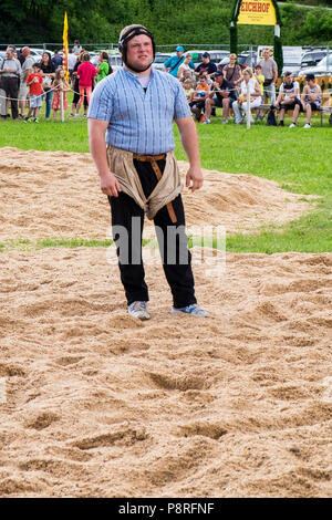 La Svizzera,Canton Ticino,Gudo,Swiss wrestling Foto Stock