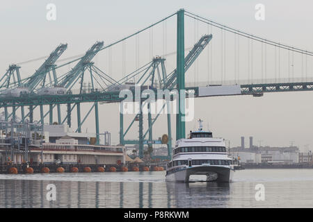 CATALINA EXPRESS SeaCat, CAT EXPRESS, uscire a San Pedro Per Avalon, Isola di Santa Catalina, California. Il Vincent Thomas ponte dietro. Foto Stock