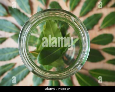 Foglie di alloro in un bicchiere Foto Stock