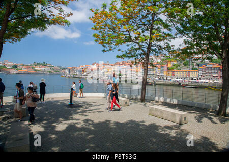 Vista del porto di fiume (Ribeira district) e il fiume Douro da Vila Nova de Gaia, Portogallo Foto Stock