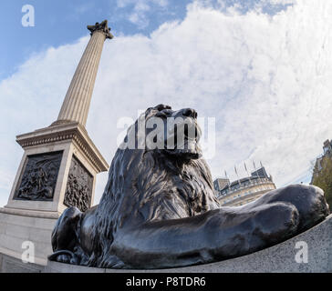 Guardando verso l'alto uno dei Landseer Lions e Nelson's colonna in Trafalgar Square, Londra Foto Stock