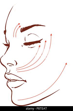 Bella donna con segni disegnati sul suo viso per plastica chirurgia cosmetica illustrazione vettoriale Illustrazione Vettoriale