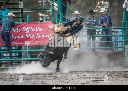 Bull Riding, rodeo più emozionante e pericoloso sport. Enorme tori cercando di gettare il cowboy da lì di nuovo. Cranbrook, BC, Canada. Foto Stock