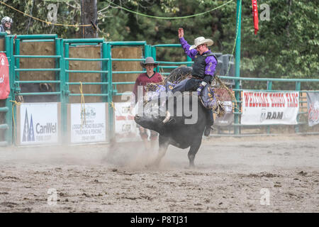 Bull Riding, rodeo più emozionante e pericoloso sport. Enorme tori cercando di gettare il cowboy da lì di nuovo. Cranbrook, BC, Canada. Foto Stock