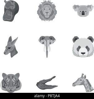 Gli animali,becco,bird,cat,raccolta,elephant,grigio, ippona,horn,icona,immagine,isolato,Re,leopard,lion,logo,scimmia,monocromatico, natura,oggetto,di icone,struzzo,tranquillo,penguin,predatori di,rinoceronte,impostare,segno,strisce,il simbolo,tiger,tronco,zanne,vettore,web,wild, Vettori vettore , Illustrazione Vettoriale