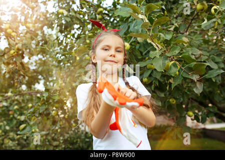 La felice ragazza giovane durante la raccolta di mele in un giardino all'aperto Foto Stock