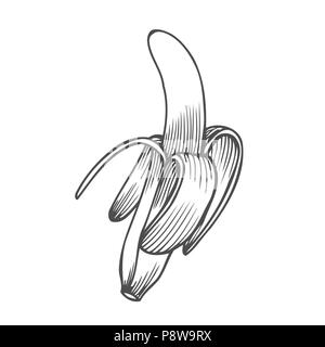 Disegnata a mano illustrazione di una banana pelata Illustrazione Vettoriale