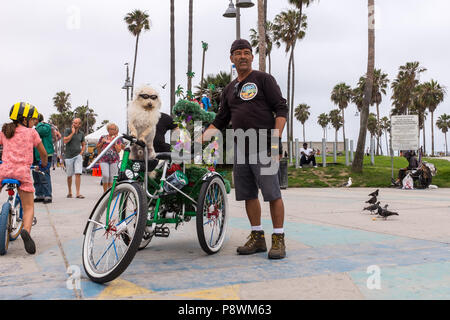 Un uomo sfilate il suo cane seduto su una bicicletta e indossando occhiali da sole in spiaggia venezia - Los Angeles, California Foto Stock