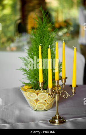 Il cipresso in un vaso Decorata con limoni. Fresca e succosa combinazione.Decorazioni per la tavola al banchetto di nozze. Foto Stock