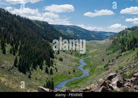 Il Rio de Los Pinos che fluisce attraverso il rigoglioso paesaggio della valle tra le montagne del Colorado, come si vede dal Cumbres e Toltec scenic railro Foto Stock