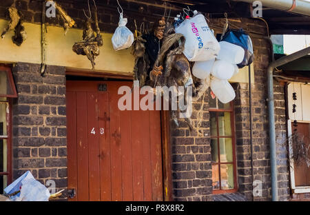 Johannesburg, Sud Africa, 24 aprile 2013, la medicina tradizionale mercatino di Johannesburg CBD Foto Stock