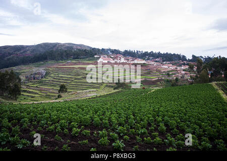 Vista in terrazzamenti agricoli in Cusco, Perù Foto Stock