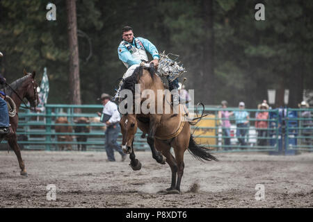 Rodeo-Bareback-Caleb Bennett riding sabbie mobili. Wild azione su strappi bronc, saddleless. Foto Stock