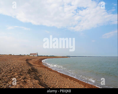 Strada di ciottoli Suffolk con cavolo riccio di mare Crambe maritima o cavolo di mare presso la foce del fiume minerale e Alde Orford Ness Foto Stock