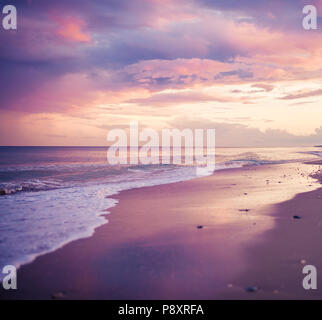 Rosa, viola e oro crepuscolo al tramonto sulla spiaggia con una tinta di rosa riva sabbiosa, Deep Purple onde dell'oceano, e la riflessione sul bagnato sabbia satinato Foto Stock
