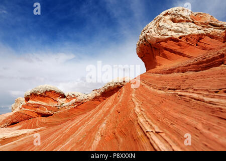 Fantastici colori e forme delle formazioni di arenaria in tasca bianco, Arizona, Stati Uniti d'America Foto Stock