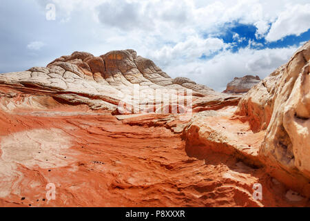 Fantastici colori e forme delle formazioni di arenaria in tasca bianco, Arizona, Stati Uniti d'America Foto Stock