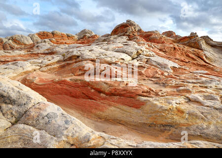 Fantastici colori e forme delle formazioni di arenaria in tasca bianco, Arizona, Stati Uniti d'America Foto Stock