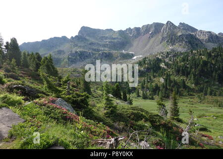 La catena montuosa del Lagorai la gamma della montagna nelle Alpi orientali in Trentino, Italia Foto Stock