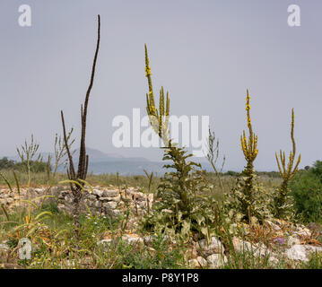 Aptera sito archeologico in Creta, Grecia Foto Stock