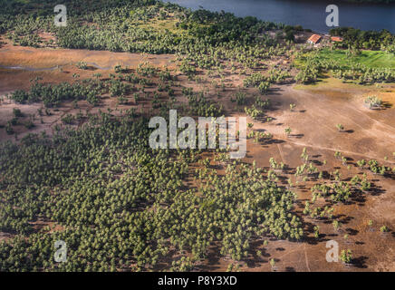 Vista da un aereo a un atterraggio di anacardi alberi del Lencois Maranhenses National Park, Brasile Foto Stock