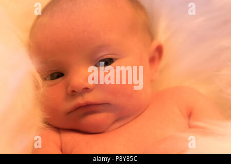 Buon compleanno Little Miss Kallie Foto Stock