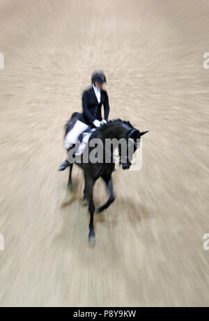 Berlino, dynamics, dressage rider e cavallo al galoppo Foto Stock