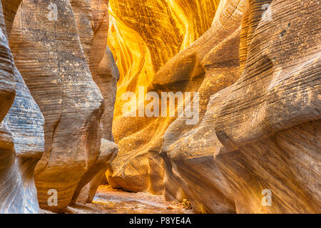 Willis Creek Canyon, situato all'interno di Grand Staircase-Escalante Monumento Nazionale in Utah Foto Stock