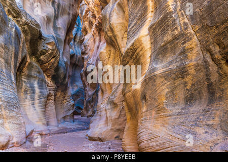 Willis Creek Canyon, situato all'interno di Grand Staircase-Escalante Monumento Nazionale in Utah Foto Stock