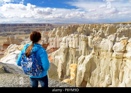 Escursionista ammirando le viste mozzafiato di colorate formazioni di pietra arenaria della miniera di carbone di Canyon, Arizona, Stati Uniti d'America Foto Stock