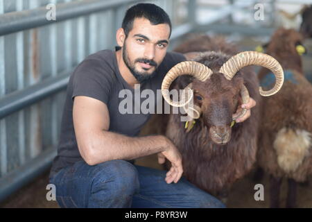 Uomo musulmano la macellazione di ovini, per l'Eid Al Adha sacrifiyng festa, Festa del sacrificio Foto Stock