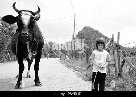 Ragazzina musulmana prendendo una mucca per la macellazione per l'Eid Al Adha sacrifiyng festa, Festa del sacrificio Foto Stock