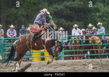 Saddle Bronc Riding, ritmo tra un cowboy e il suo cavallo è la chiave in Saddle Bronc. Azione selvatici come cavallo tenta di buck off rider. Cranbrook, BC, Canada Foto Stock