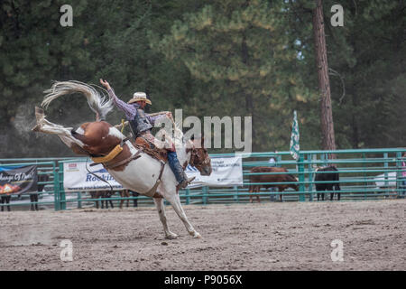 Saddle Bronc Riding, ritmo tra un cowboy e il suo cavallo è la chiave in Saddle Bronc. Azione selvatici come cavallo tenta di buck off rider. Cranbrook, BC, Canada Foto Stock