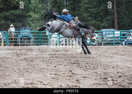 Saddle Bronc Riding, ritmo tra un cowboy e il suo cavallo è la chiave in Saddle Bronc. Azione selvatici come cavallo tenta di buck off rider. Cranbrook, BC, Canada Foto Stock